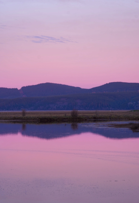 Purple mountains against a pink sky reflected in calm water.