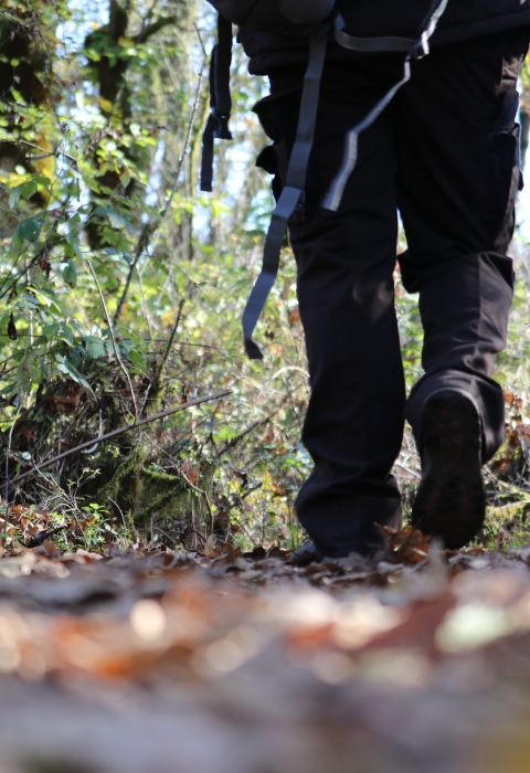 View of trail at foot level of leaves and a walker's boots on the trail