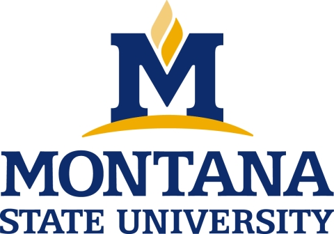 Montana State University Logo