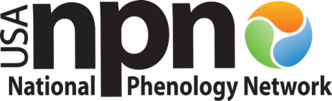 USA National Phenology Network Logo