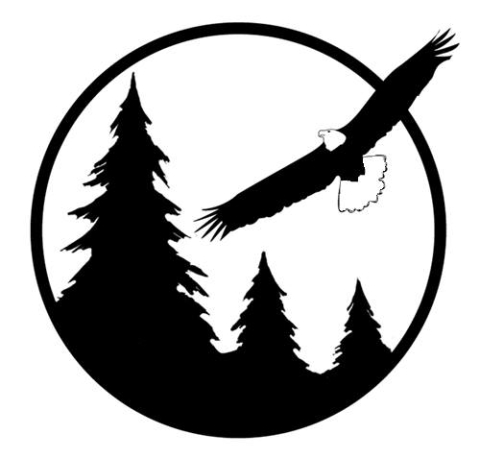 eagle flying over trees