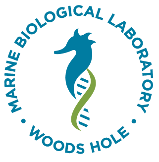 Logo for the Marine Biological Laboratory Woods Hole