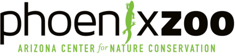 Logo that reads, Phoenix Zoo, with a illustrations of a light green lizard taking the place of the "i" in the word phoenix. Below are words that reads, Arizona Cent for Nature Conservation.