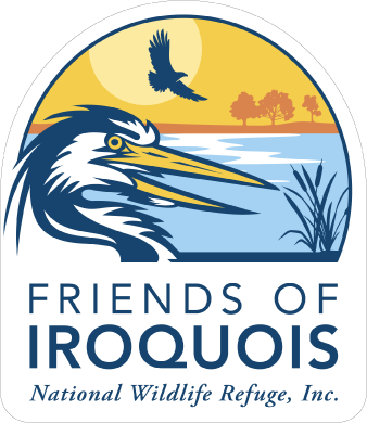 Logo with great blue heron, blue water, and orange sky. 