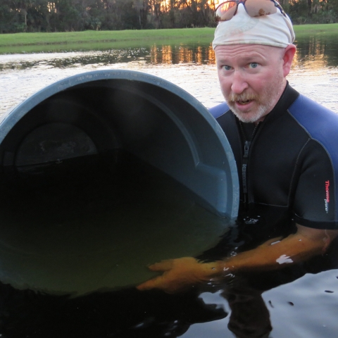 Deputy Project Leader Tony Brady releasing Striped Bass Fry into a pond for grow out.