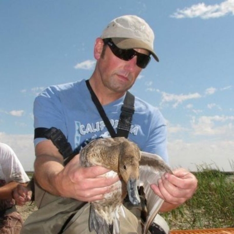 Photo of Greg Yarris holding a juvenile Northern Shoveler