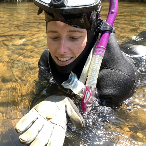 Brittany looking for mussels