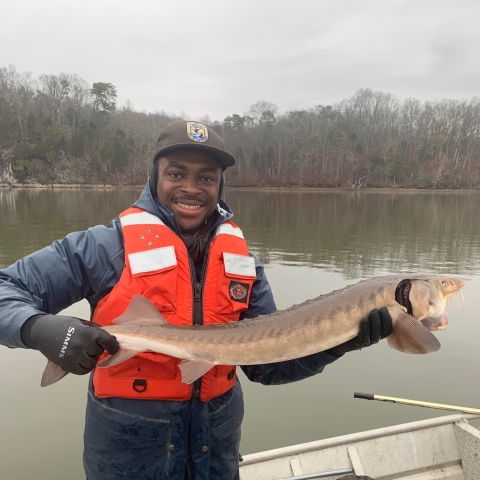 Edenton NFH Fisheries biologist Jimmie Garth holds Lake Sturgeon