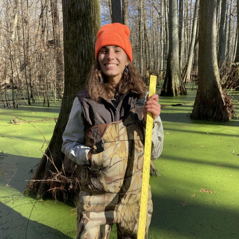 FWS staff member in cypress swamp holding measuring stick and blaze orange hat