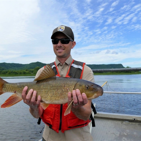 Man on boat holding a fish on the Mississippi river.