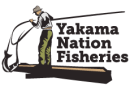 Logo of a man lifting a net with a fish onto a platform