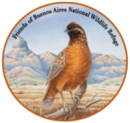 Masked Bobwhite Quail perched on a branch