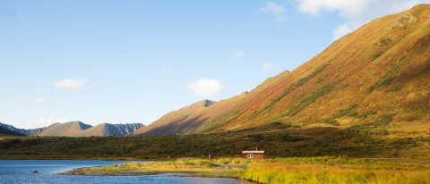 a cabin by a lakeshore with a big fall-colored ridge beside it