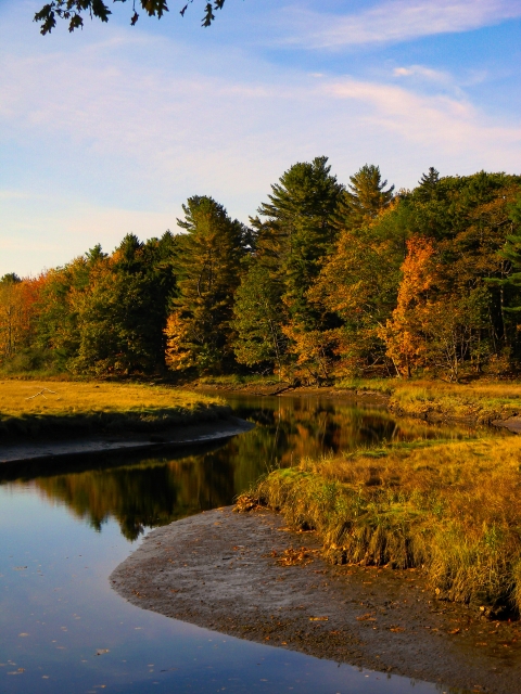 View of marsh from overlook on Carson Trail