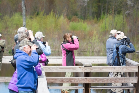 Bird watchers at Missisquoi NWr