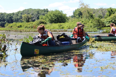 volunteers pulling water chestnut