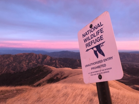 A white sign reads National Wildlife Refuge and has the Refuge System logo, a blue goose, under it. The sign is on a yellow grassy hilltop with glowing canyons beyond with a pink and purple high cloud covered sky