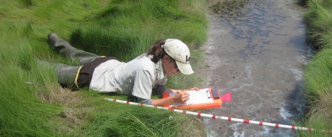 Intern studies impact of ditch remediation to saltmarsh.