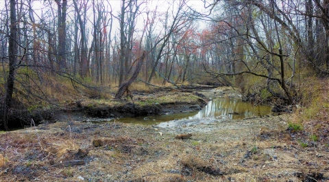 A creek winds through a forest in winter.