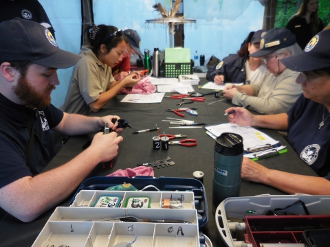 Volunteers sit on either side of a long table; each person in concentrating on applying a bird band.