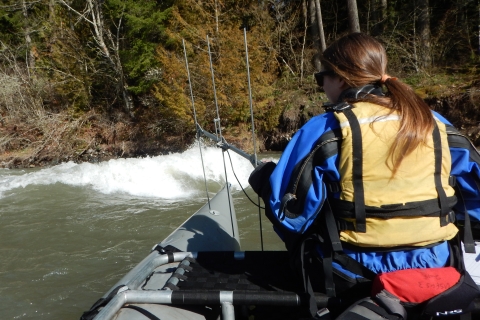 Western Washington Fish & Wildlife Conservation Office staff member radio tracking Bull Trout on the White River in WA State