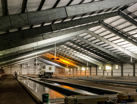 A photo of the production building with the AutoFish marking/tagging trailer in operation.