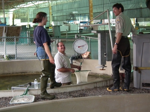 FWS volunteer helping to move fish