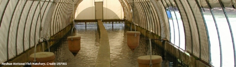 Interior view of a raceway at Nashua NFH