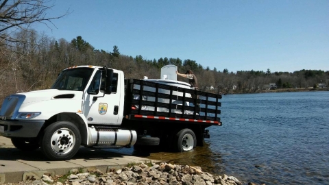 Stocking shad at a boat ramp