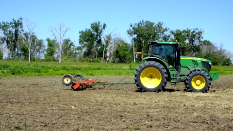 Cultipacking dried wetland with tractor