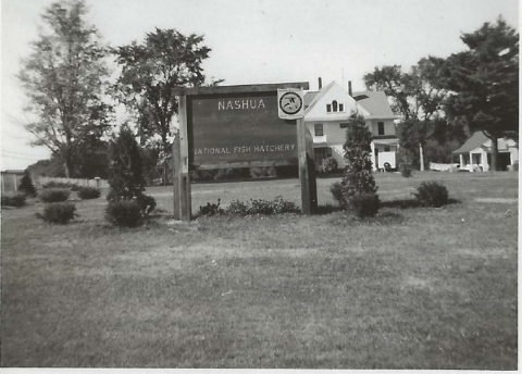 Nashua NFH old entrance sign