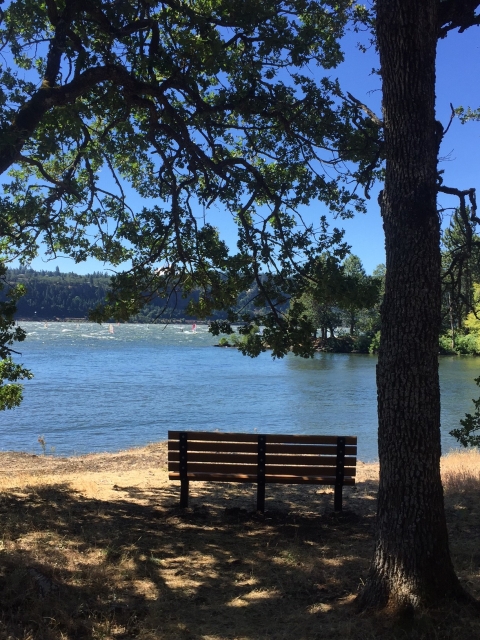 bench view on the interpretive trail