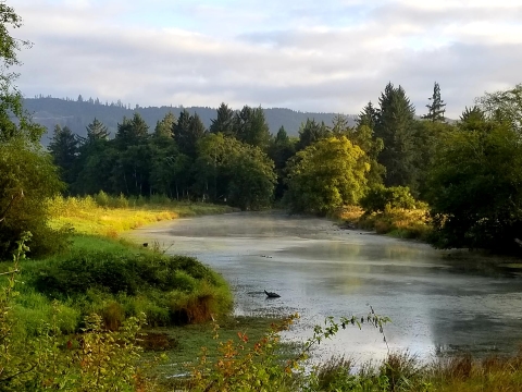 A silver river flows through a landscape of yellow and green trees under a mostly sunny sky.