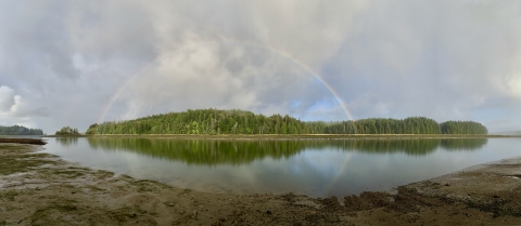 A rainbow stretches over a group o green trees on the bank of a bay