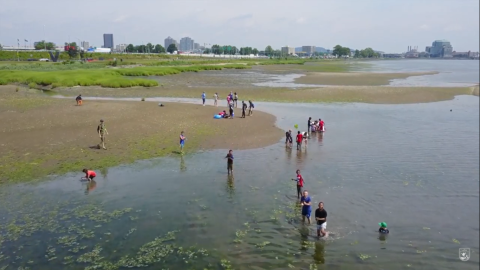 Some people wading in the coastal waters. In the background you can see a cityscape.