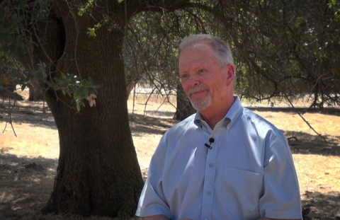 A man standing underneath a tree.