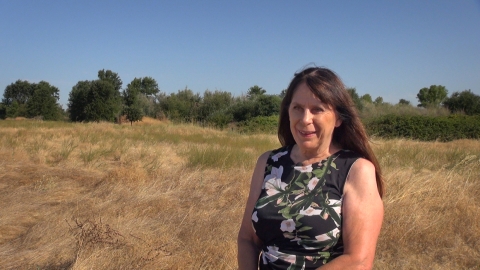 A woman with tall grass, trees, and shrubs in the background.