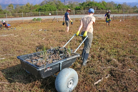 A biologist pulling a wheelbarrow