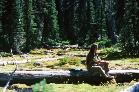 A woman sitting on a fallen tree trunk