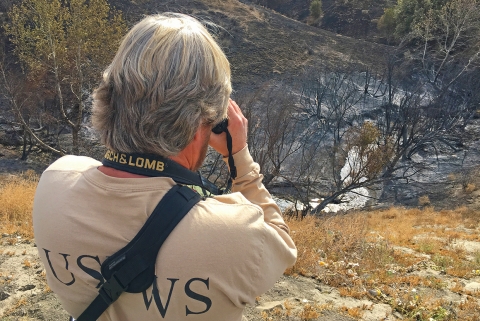 A man's back as he looks through binoculars