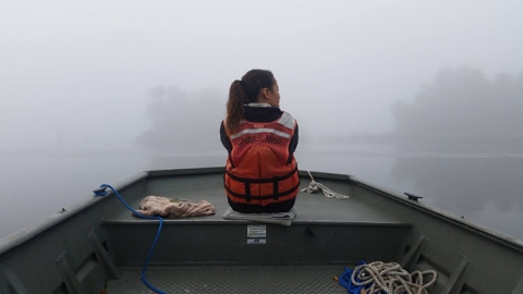 Image of Service employee looking for manatees at Crystal River National Wildlife Refugte