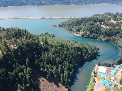 hatchery aerial