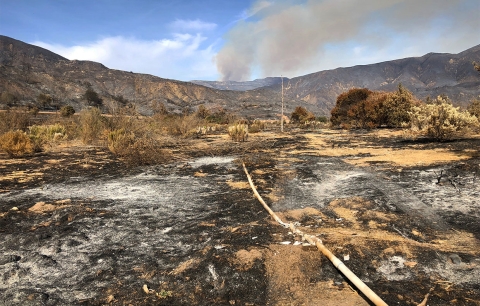 A scorched landscape