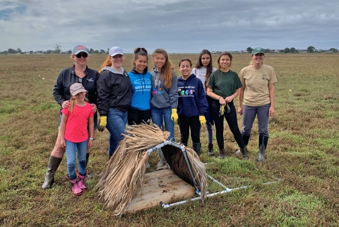 A group of girls standing behind a nesting platform