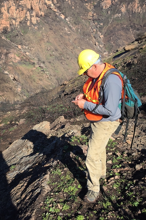 A man wearing a yellow hat and orange safety vest standing in a scorched area