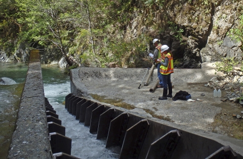 two people surveying next to a creek