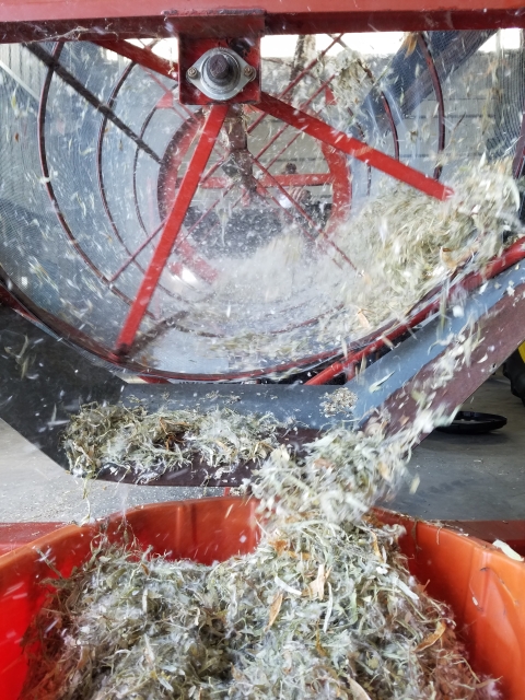 A grain tumbler used to separate milkweed seeds