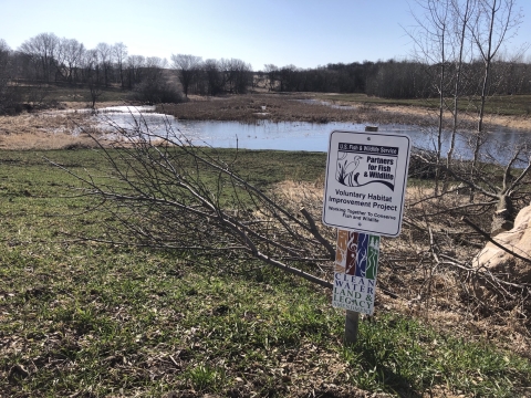 A Partners for Fish and Wildlife sign and Clean Water, Land, and Legacy sign in a prairie near a wetland