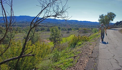 A man walking down the side of a road