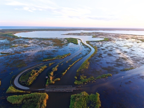 Floodwaters cover McFaddin National Wildlife Refuge in Texas after Hurricane Harvey in 2017.